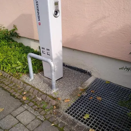Hirsch