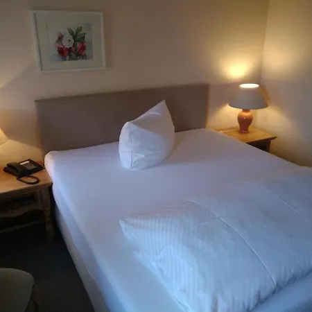 Hotel Hirsch 3*
